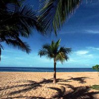 Sunshine Coast